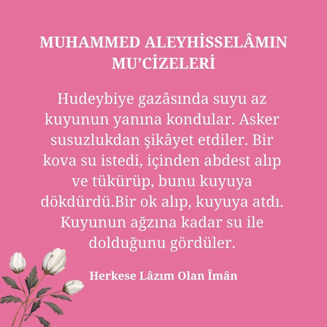 Mucizeleri (15)